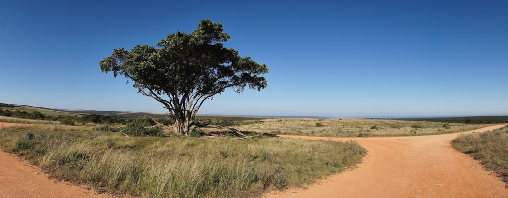 Chemin de terre traversant un paysage dégagé